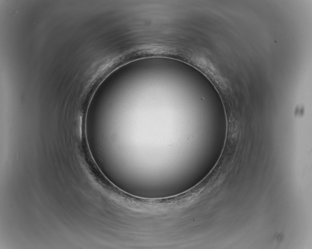 X0000097610014200803071459