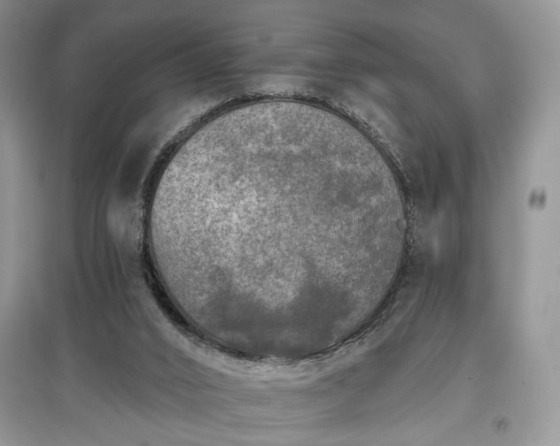 X0000097610016200803071459