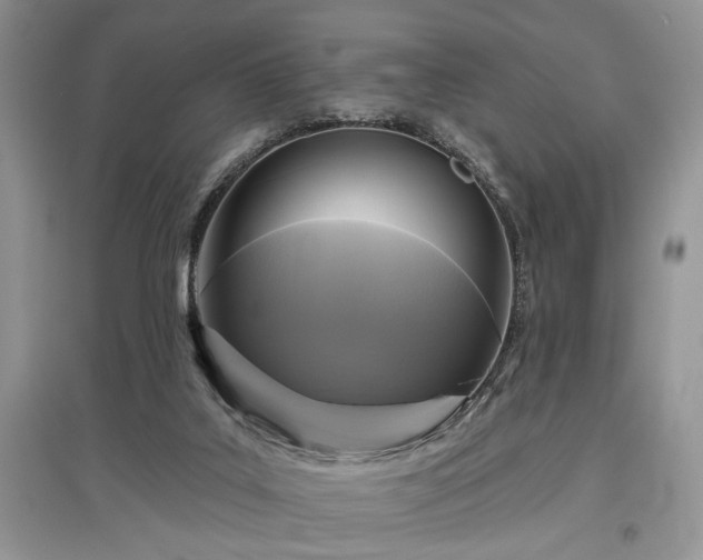 X0000097610019200803071459