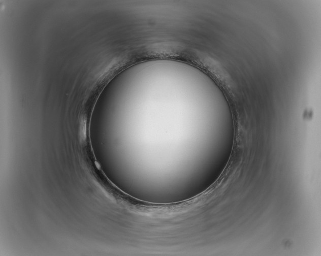 X0000097610021200803071459