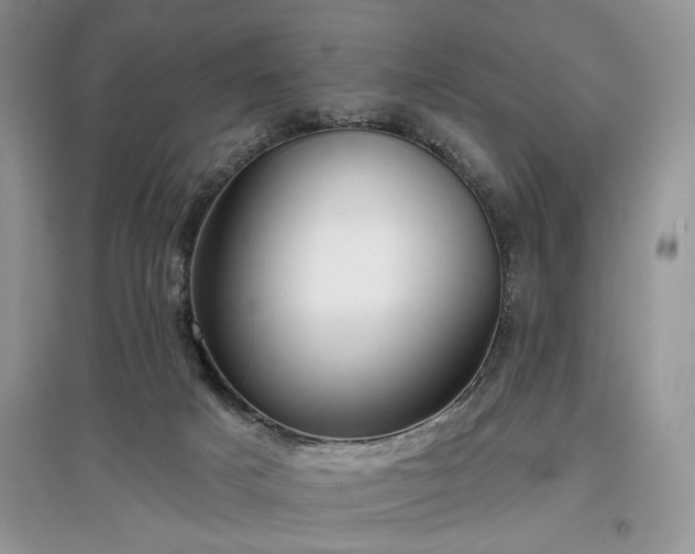 X0000097610025200803071459