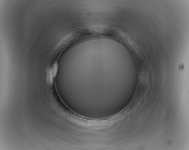 X0000097610027200803071458