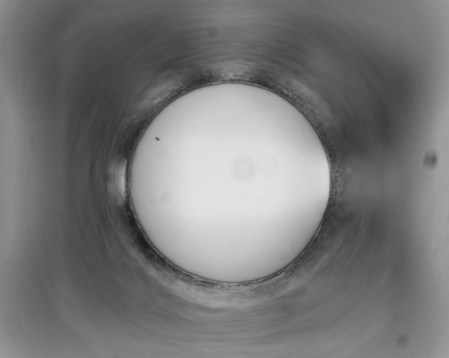 X0000097610028200803071458