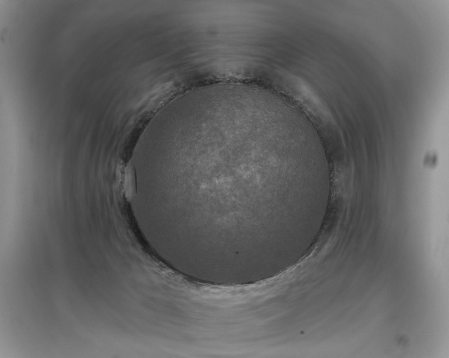 X0000097610029200803071458