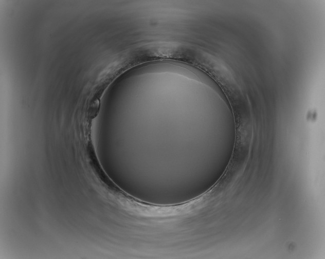 X0000097610031200803071458