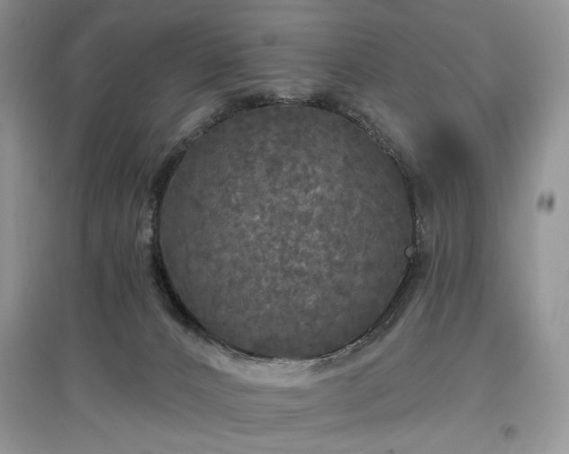 X0000097610032200803071458