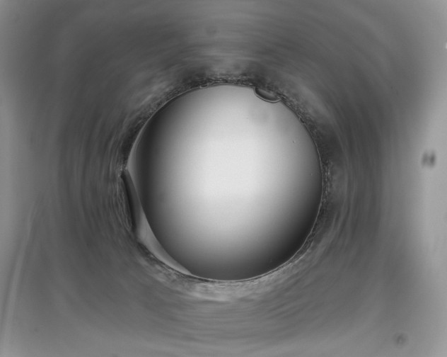 X0000097610033200803071458