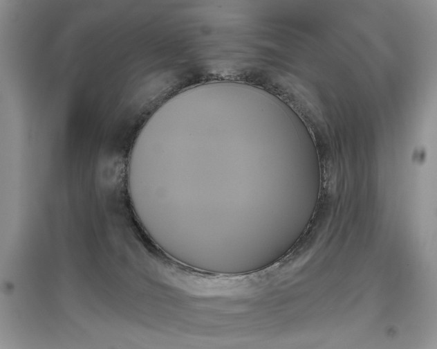 X0000097610036200803071458