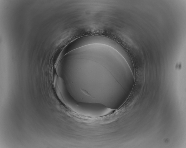 X0000097610039200803071458