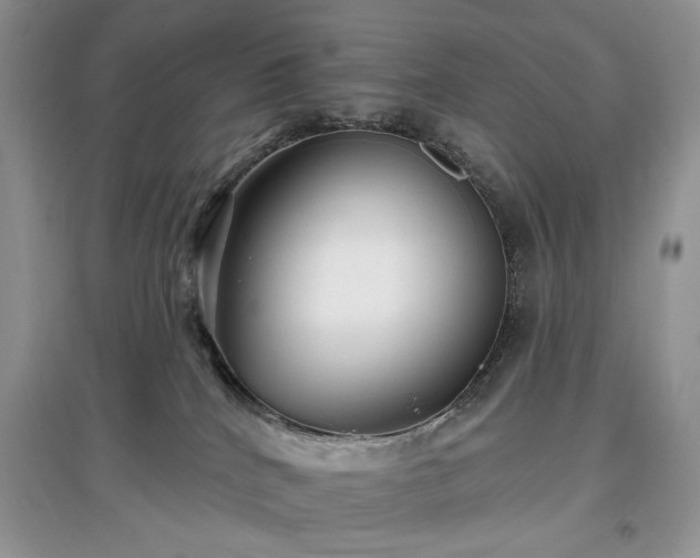 X0000097610040200803071458