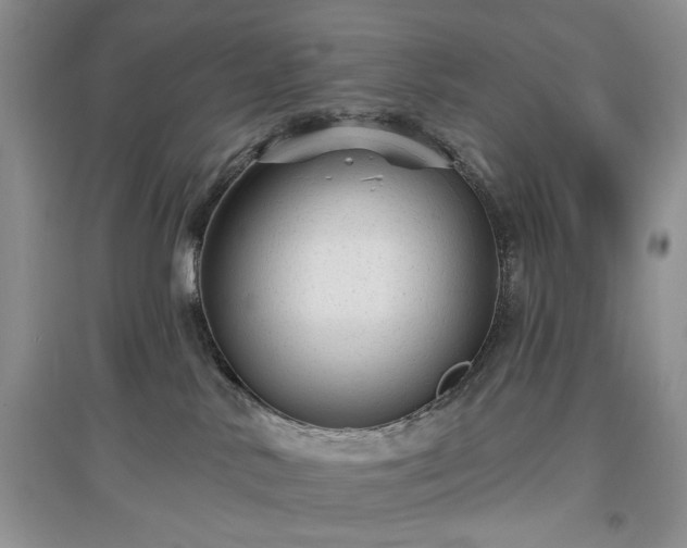 X0000097610042200803071458