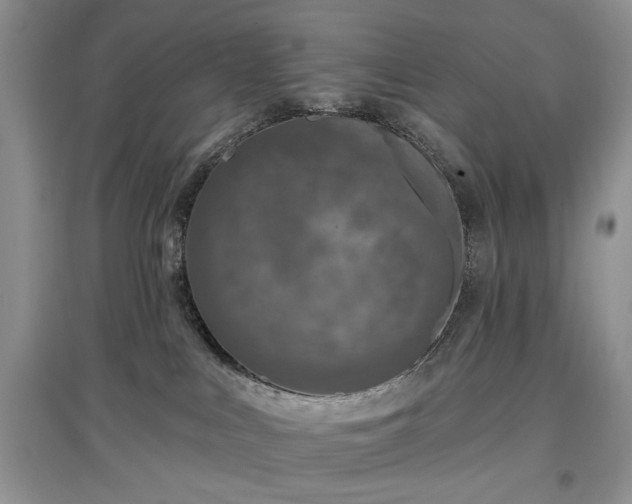 X0000097610043200803071458