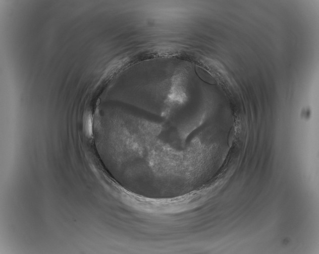 X0000097610046200803071458