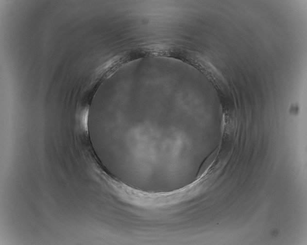 X0000097610047200803071458