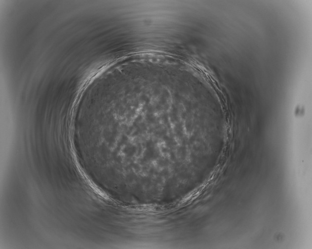 X0000097610049200803071457