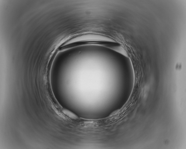 X0000097610050200803071457