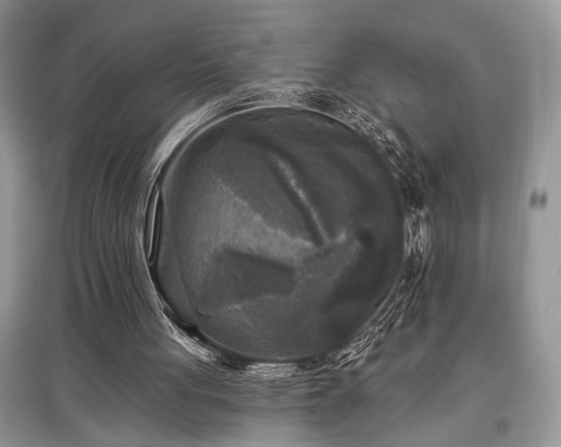 X0000097610051200803071457