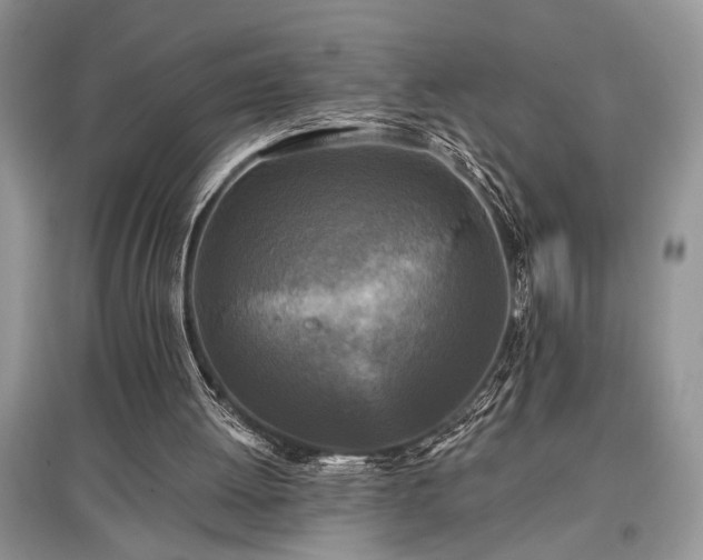 X0000097610052200803071457