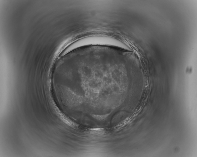 X0000097610053200803071457