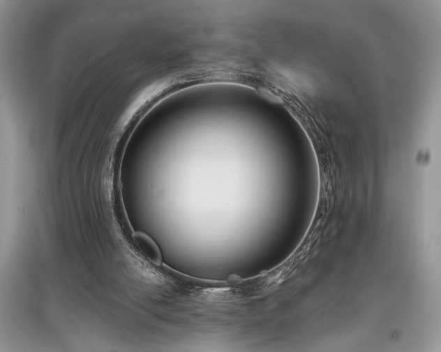 X0000097610054200803071458