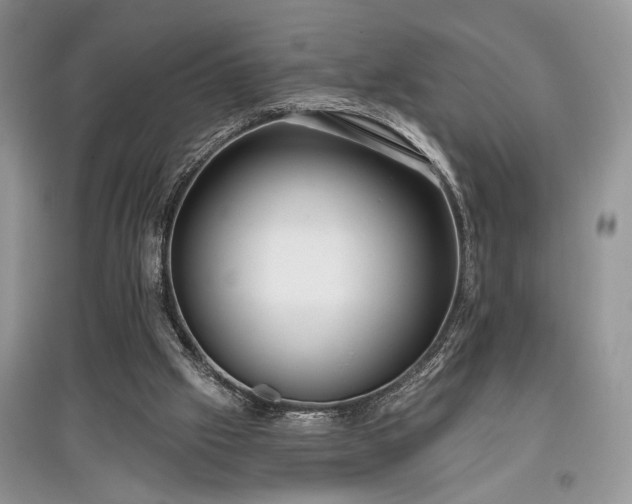 X0000097610057200803071458