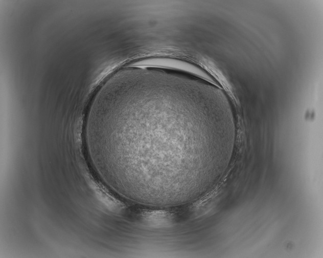 X0000097610058200803071458