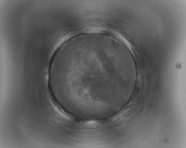 X0000097610059200803071458