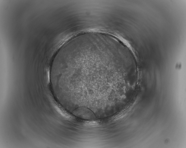 X0000097610061200803071458