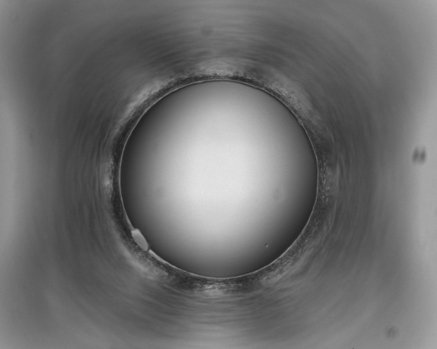 X0000097610064200803071458