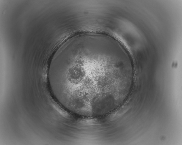 X0000097610065200803071458