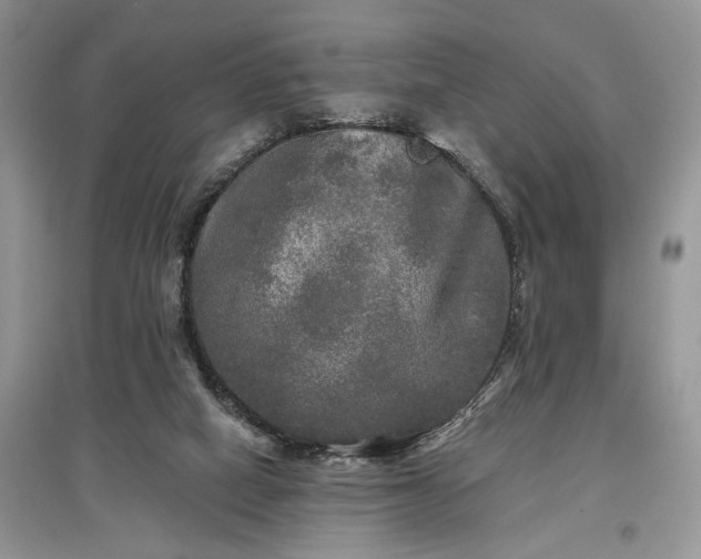 X0000097610066200803071458