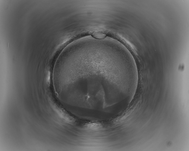 X0000097610067200803071458