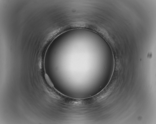 X0000097610068200803071458