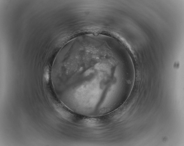 X0000097610069200803071458