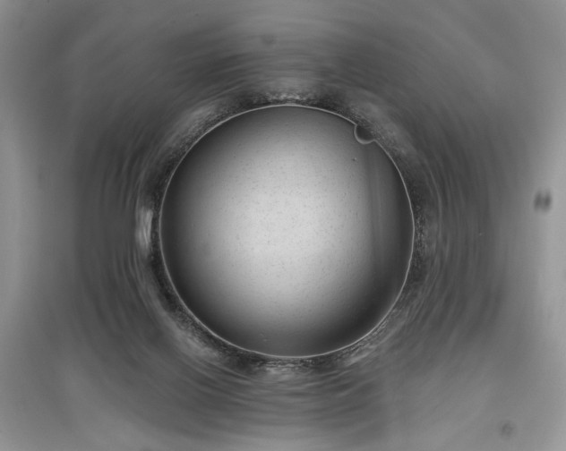 X0000097610070200803071458