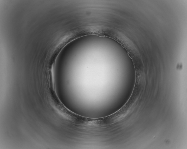 X0000097610072200803071458