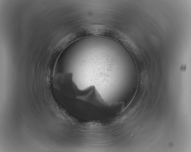 X0000097610073200803071458