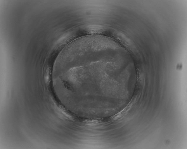 X0000097610074200803071458