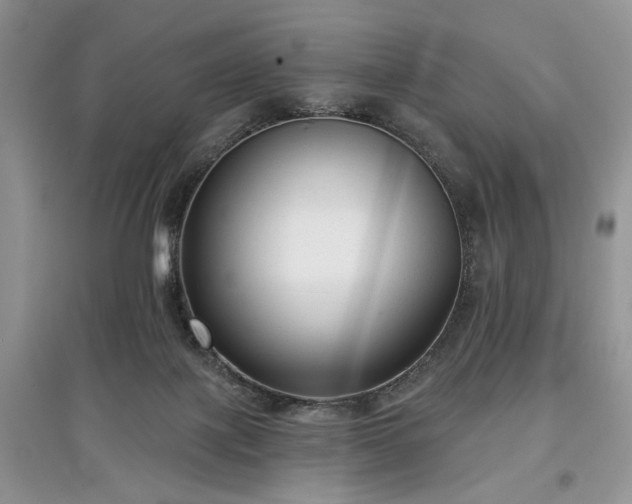 X0000097610075200803071458