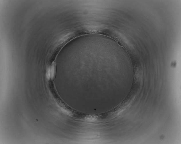 X0000097610076200803071458