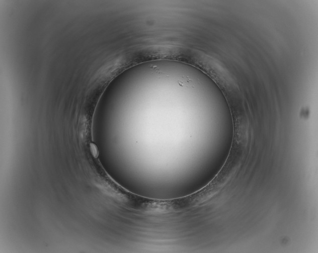 X0000097610077200803071458