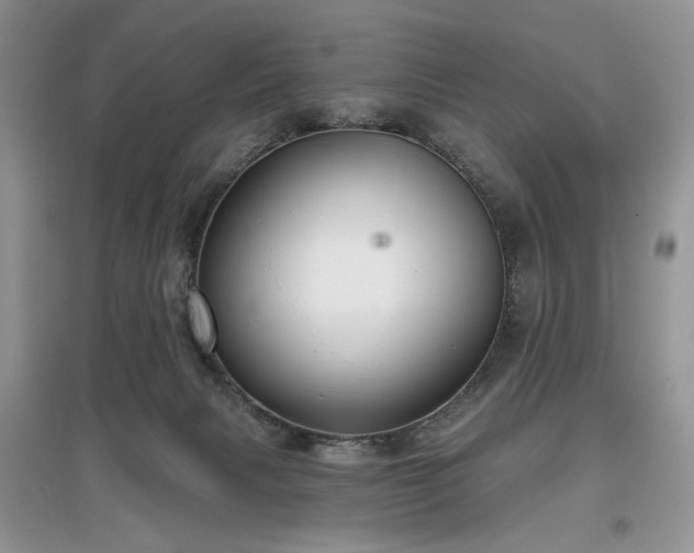 X0000097610079200803071458