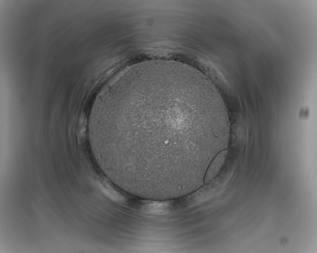 X0000097610081200803071458