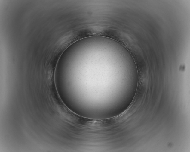 X0000097610082200803071458