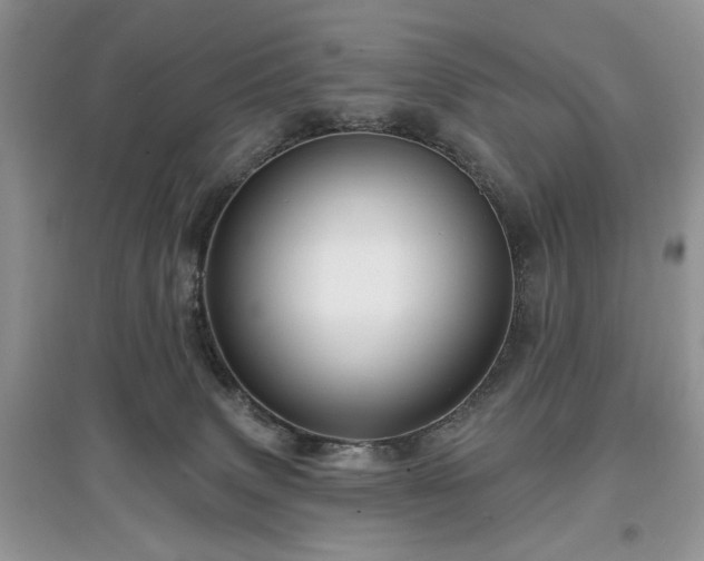 X0000097610083200803071458