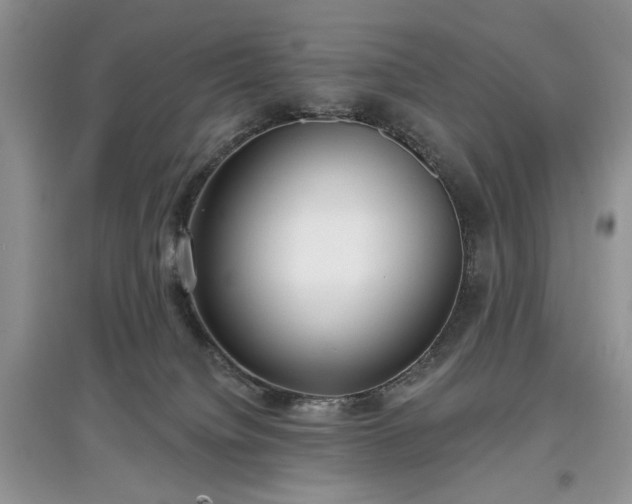 X0000097610084200803071458