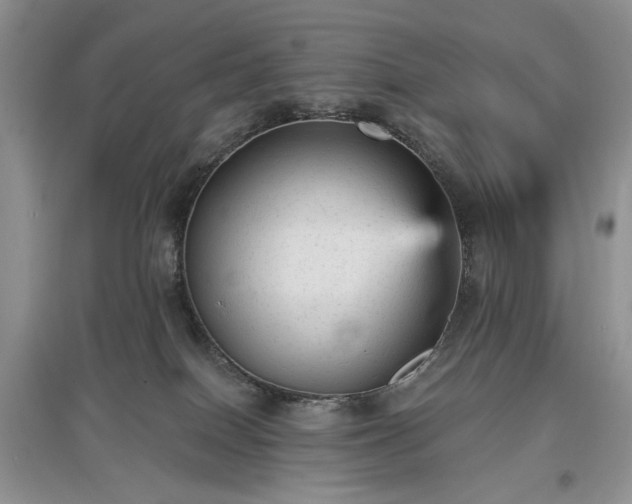 X0000097610086200803071458