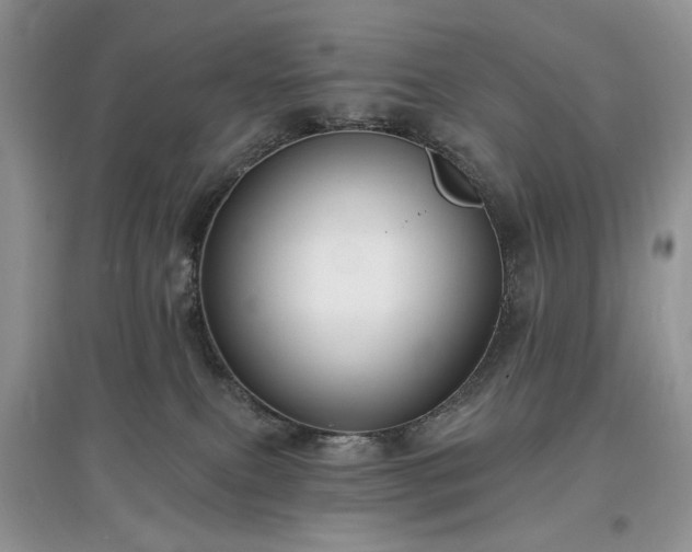 X0000097610087200803071458