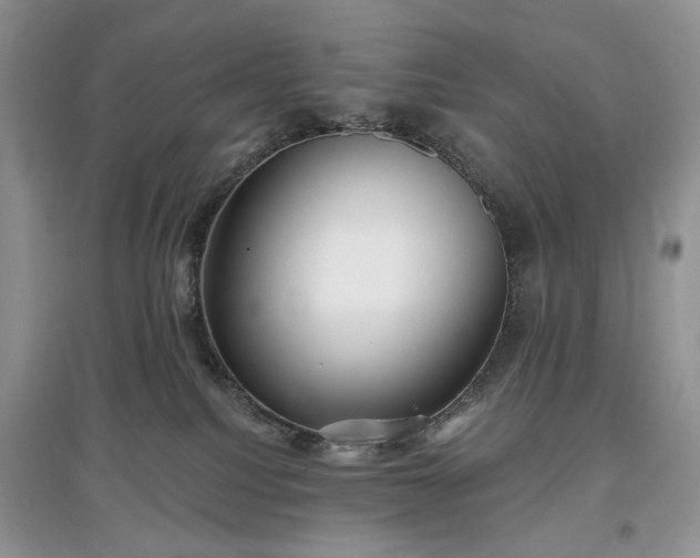 X0000097610088200803071458