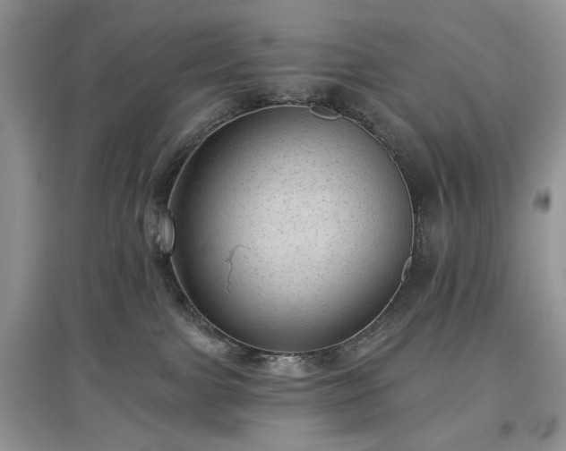 X0000097610091200803071458